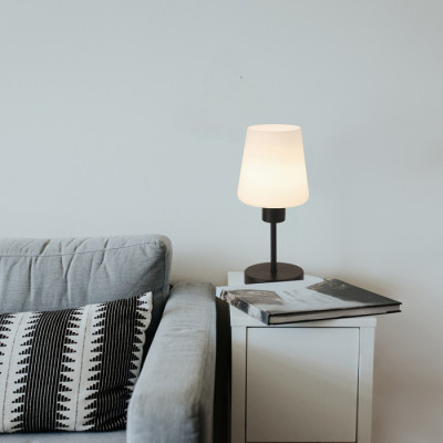 Интерьерная настольная лампа Clarity ES0002707